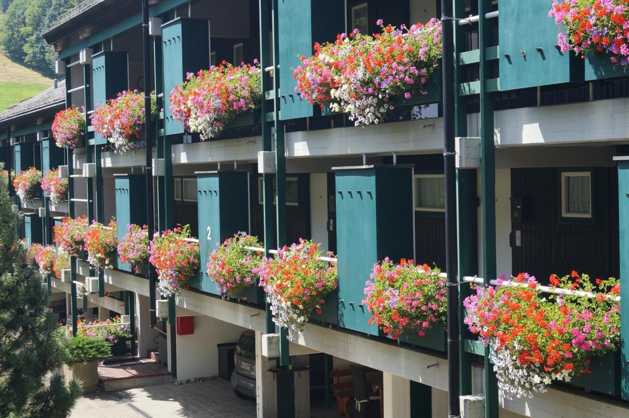 Terrassenpark Apartments Sasbachwalden Luaran gambar