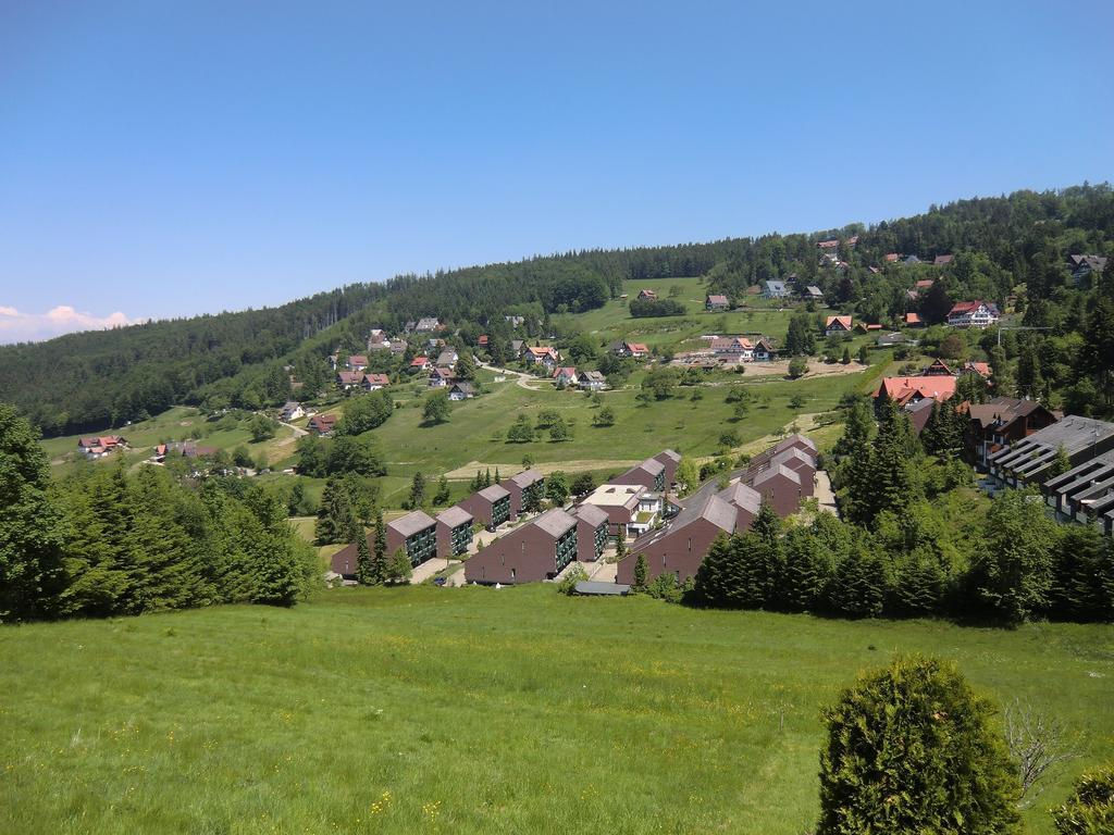 Terrassenpark Apartments Sasbachwalden Bilik gambar